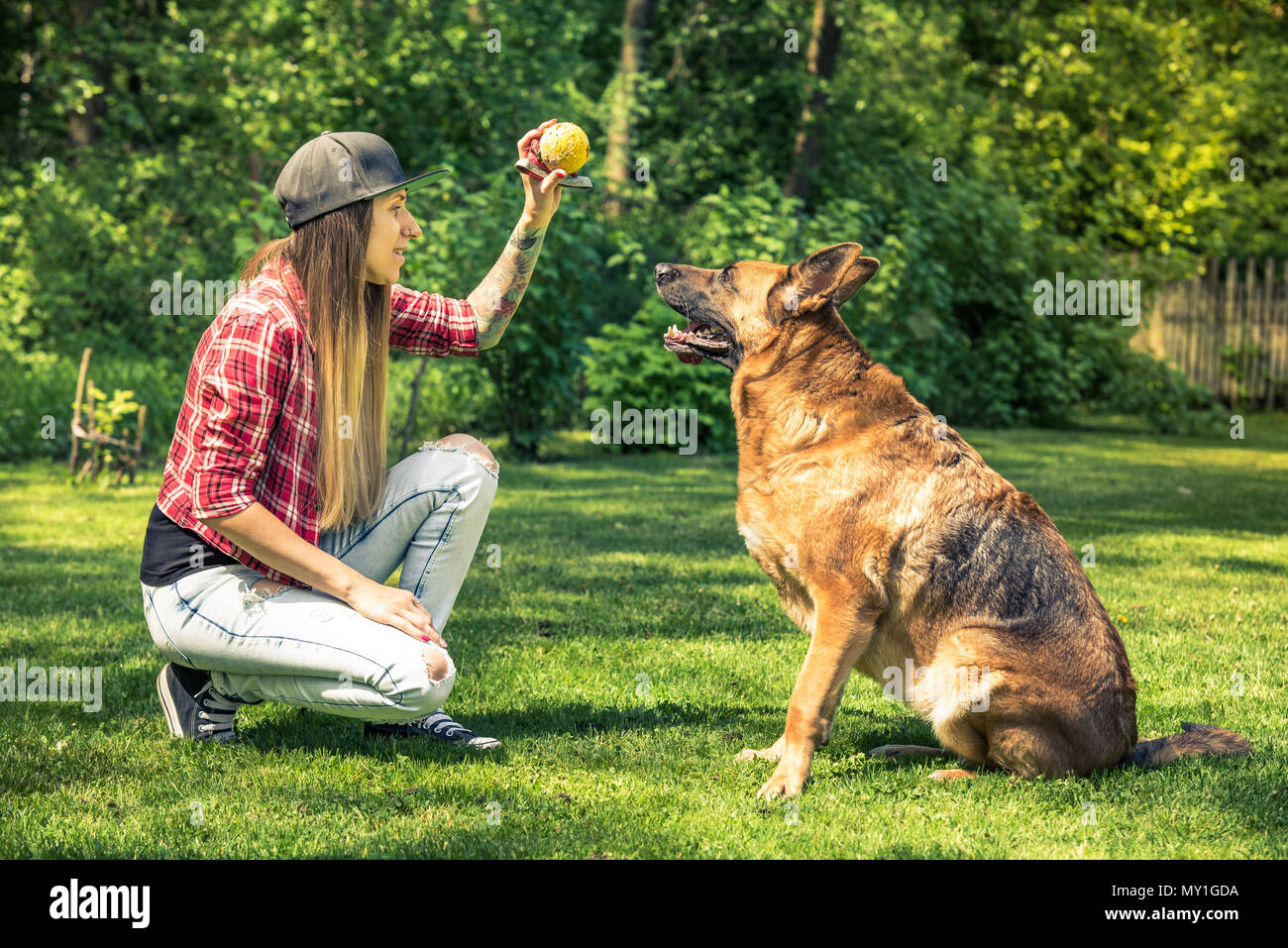 тренер животные. популярные животные в играх. дрессировщик собак. команда лежать для собак. Animal trainer simulator.
