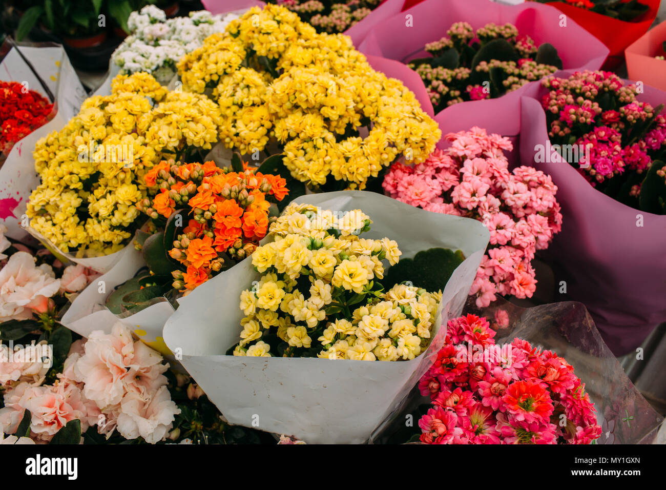 flower for sale in market, elevated view Stock Photo Alamy