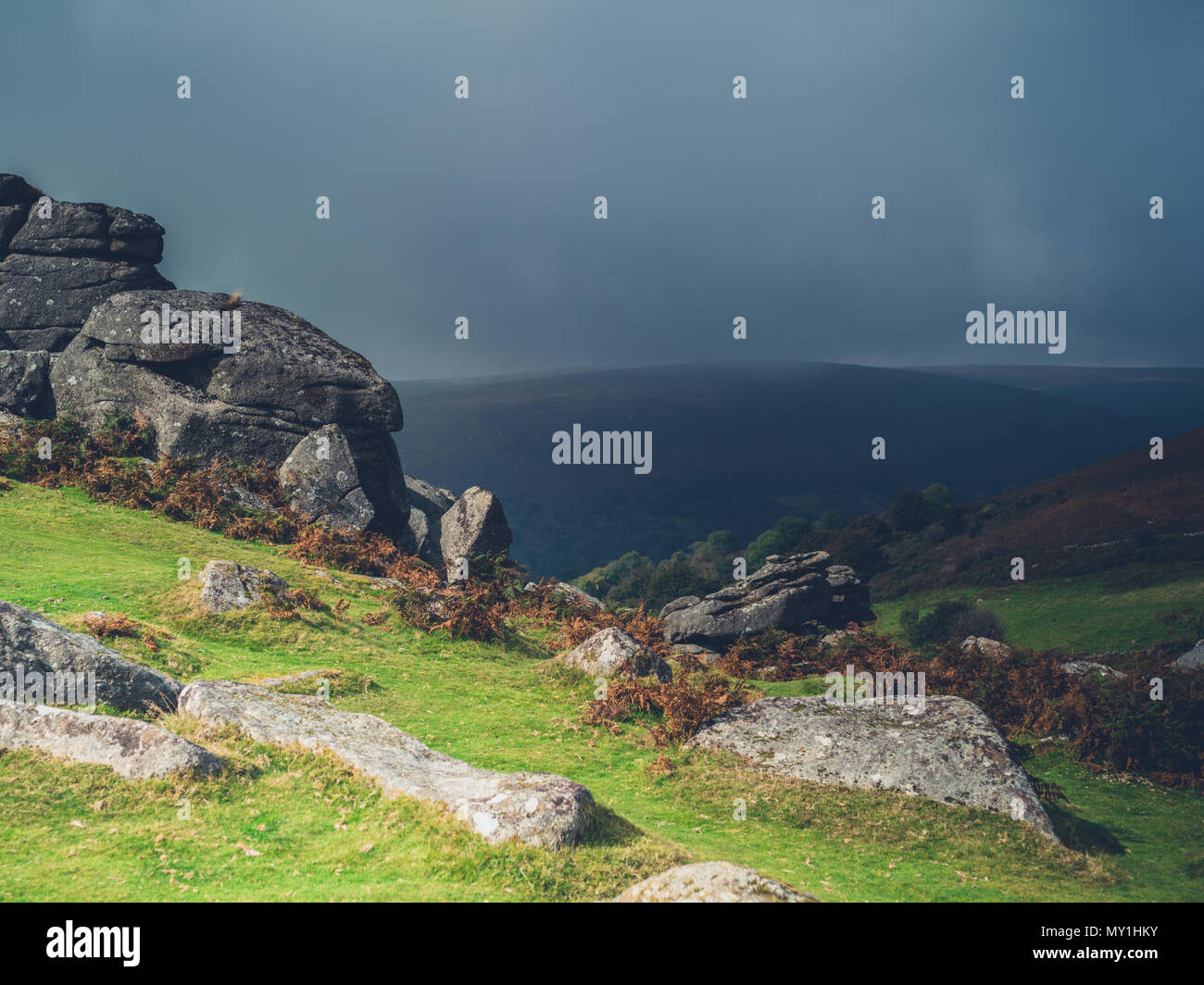 Rocks and stones on a moor in the autumn on a cloudy day Stock Photo ...