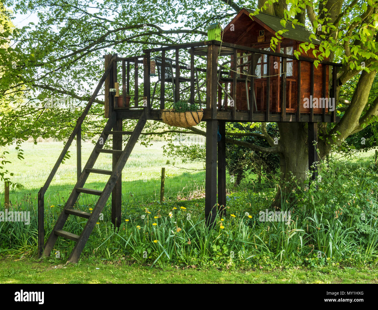 A pretty tree house in the English countryside. Stock Photo