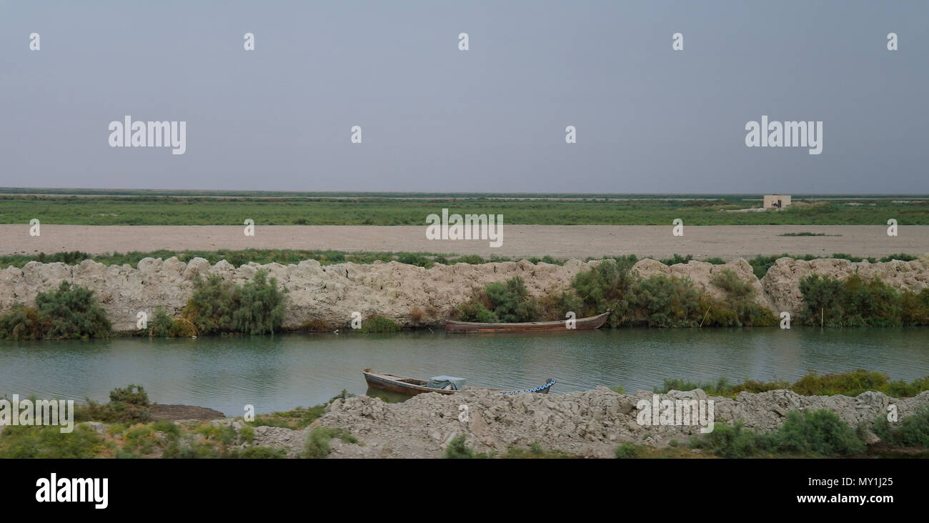Mesopotamian Marshes, habitat of Marsh Arabs aka Madans, near Basra Iraq Stock Photo