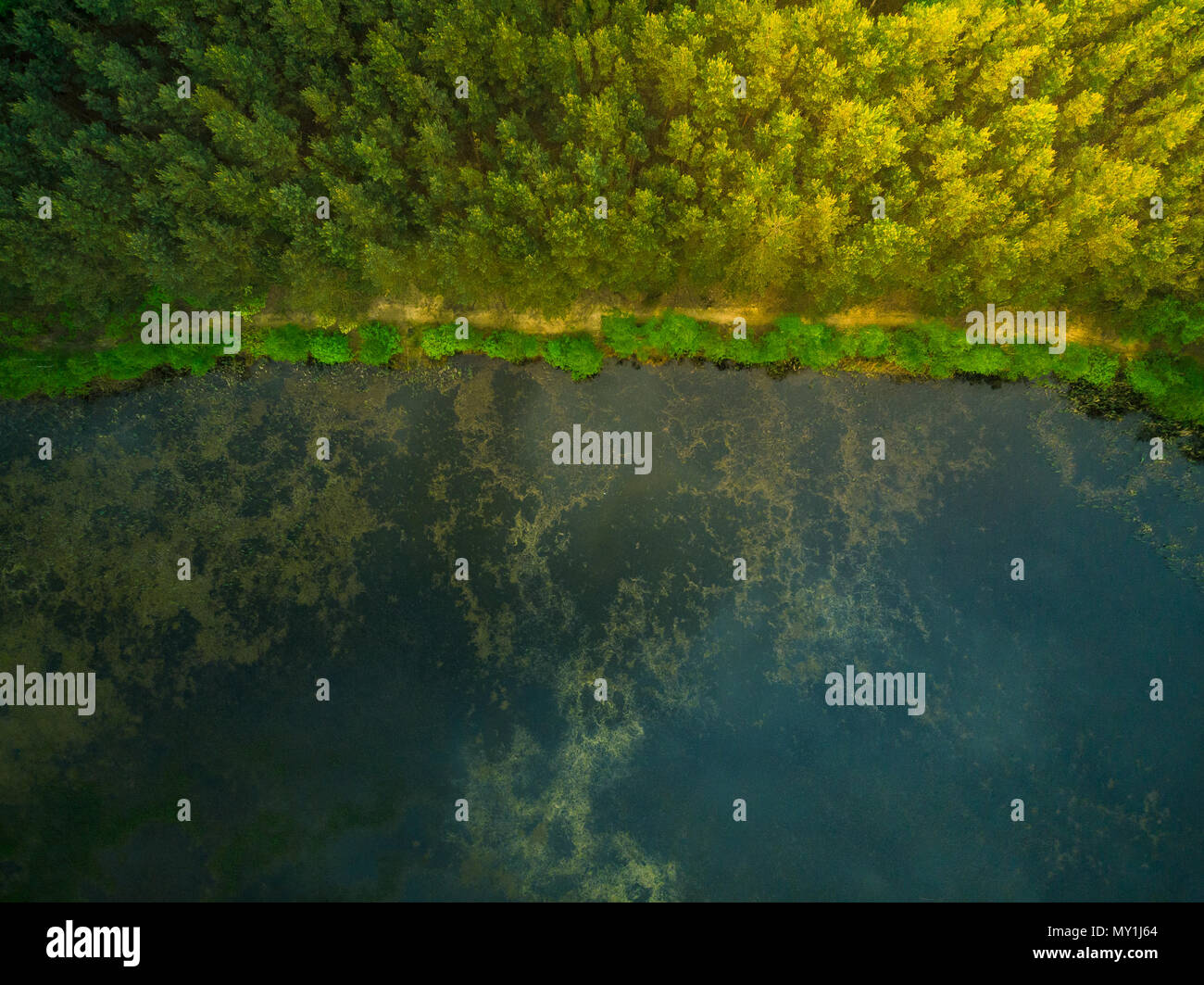 Aerial top down view over forest and lake Stock Photo - Alamy