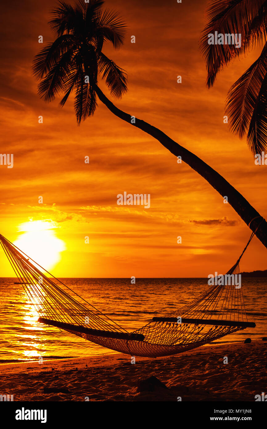 Hammock on a palm tree during beautiful sunset on tropical Fiji 