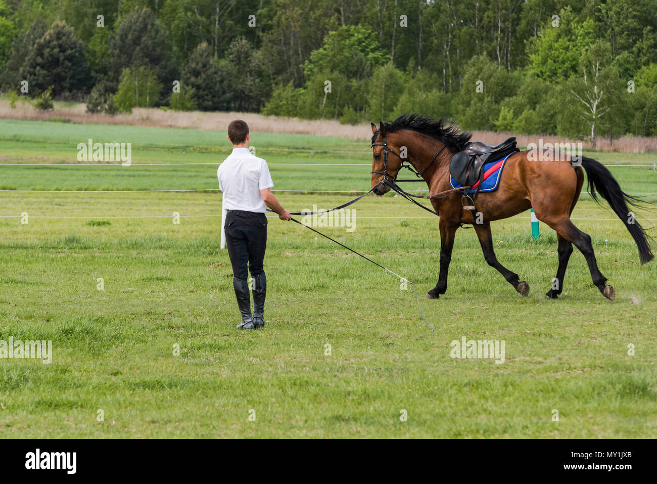 Jockey train race horse outdoor Stock Photo Alamy