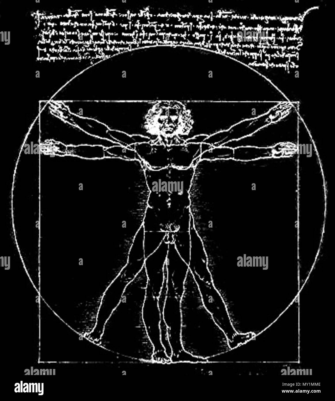 . Leonardo&rsquo;s Vitruvian man, as he appears on T-shirts . 15th century