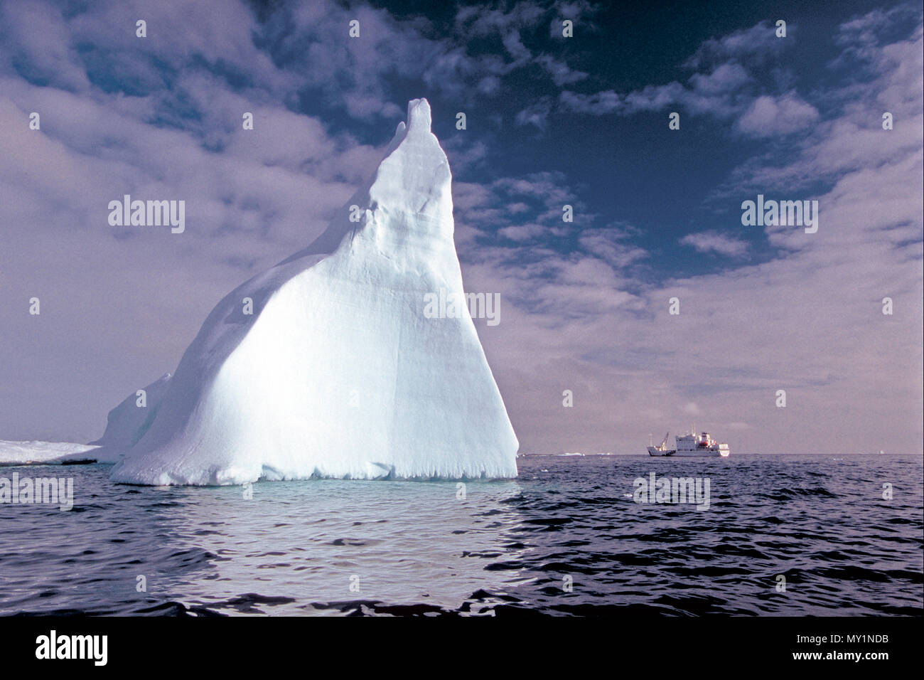 Treibender Eisberg in der Antarktis | Drifting Iceberg at Antarctic Stock Photo