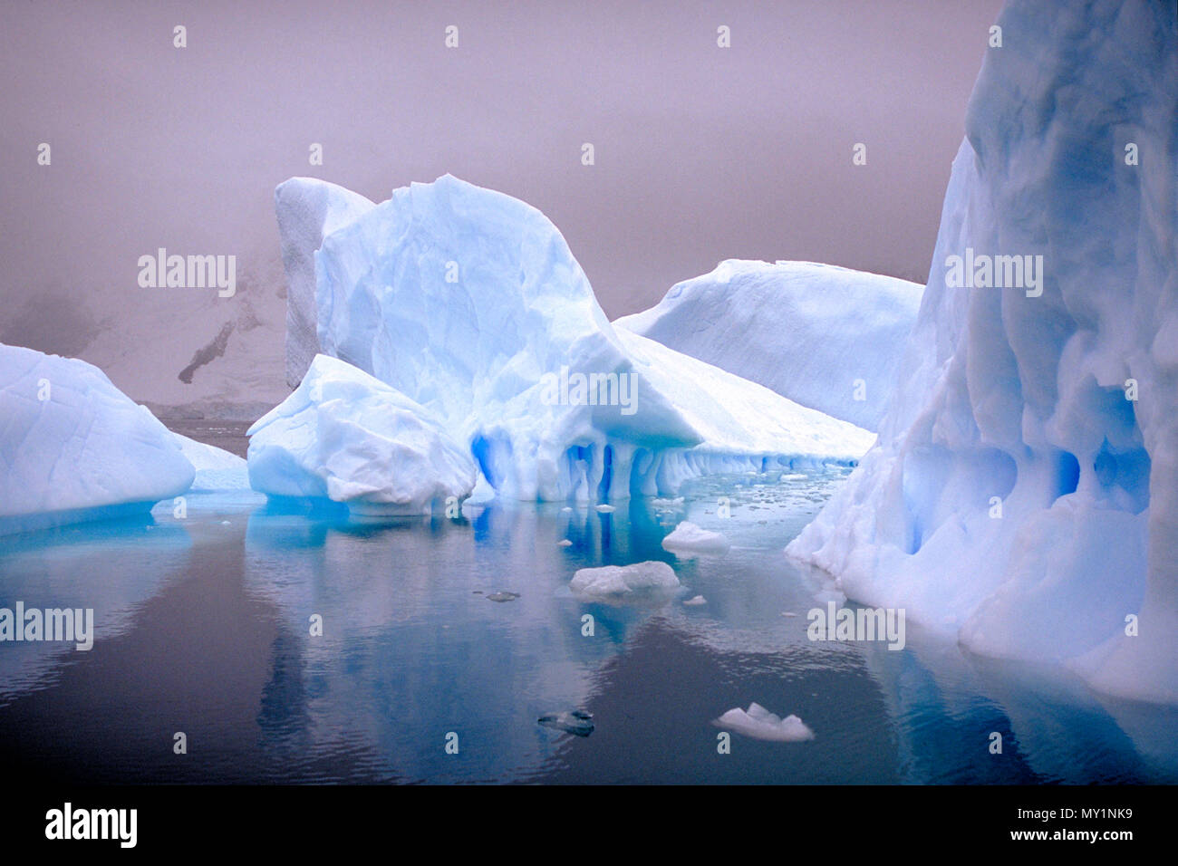 Treibende Eisberge in der Antarktis | Drifting Icebergs at Antarctic Stock Photo