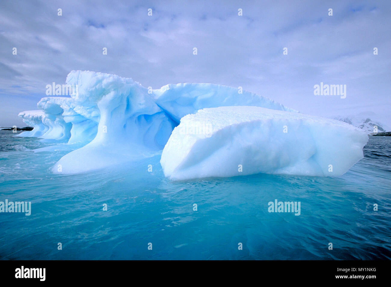 Treibende Eisberge in der Antarktis | Drifting Icebergs at Antarctic Stock Photo