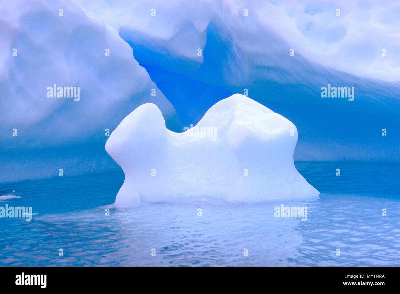 Treibende Eisberge in der Antarktis | Drifting Icebergs at Antarctic Stock Photo