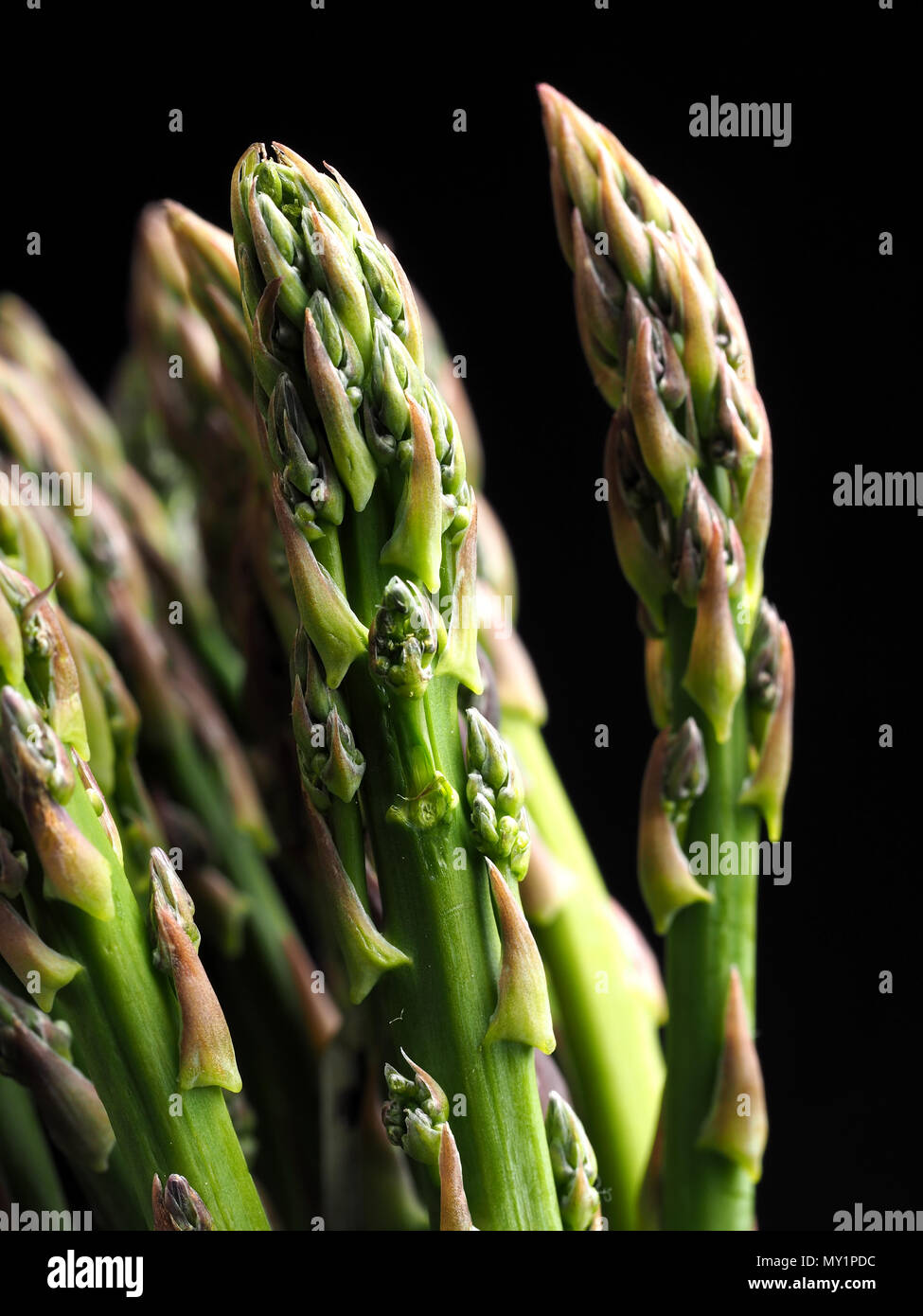 ASPARAGUS ESPARRAGOS ASPERGES Asparagus is a spring vegetable. Very appreciated and good for