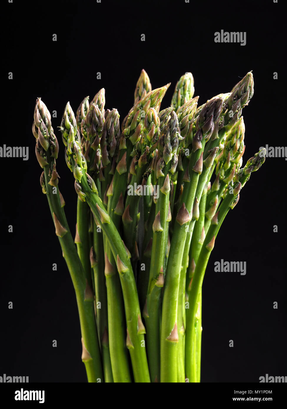 ASPARAGUS ESPARRAGOS ASPERGES Asparagus is a spring vegetable. Very
