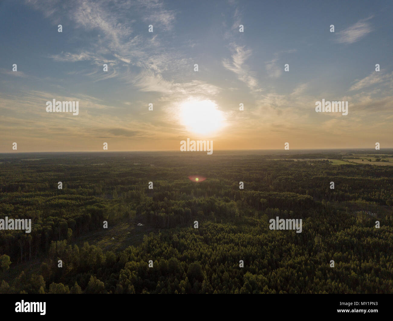 drone image. aerial view of rural sunset over forest trees with long ...