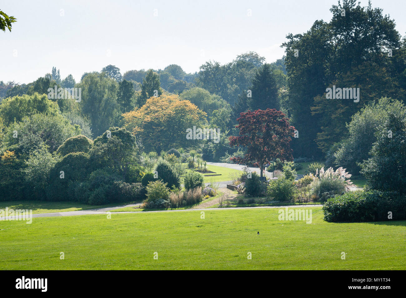 Sydenham Wells Park in Lewisham, South East London Stock Photo Alamy