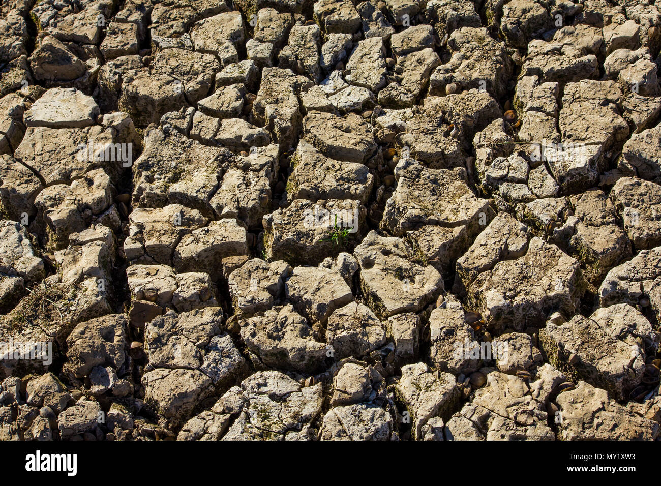 land arid and cracked by drought on a sunny and hot day Stock Photo
