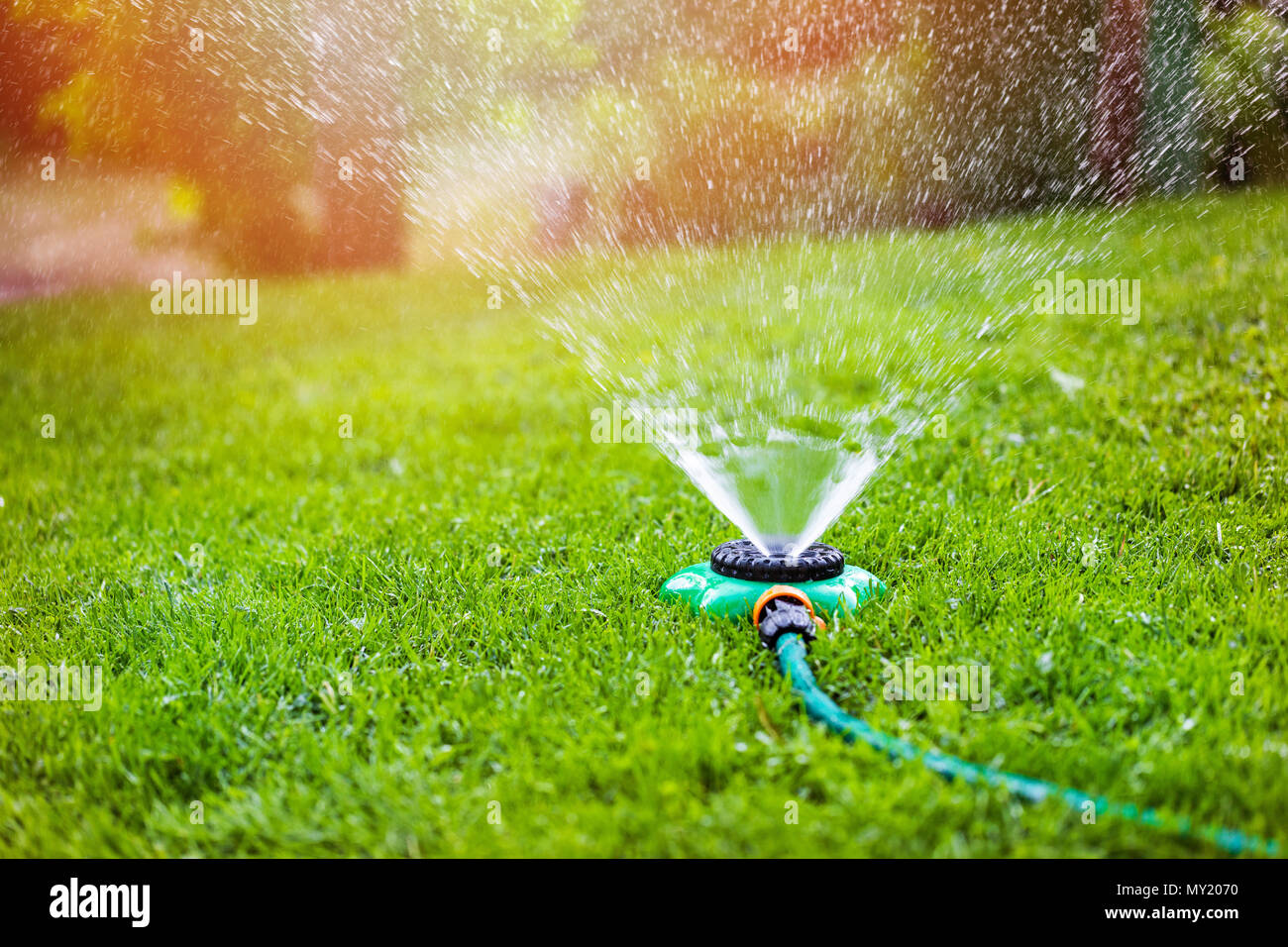 garden sprinkler watering grass at home backyard Stock Photo