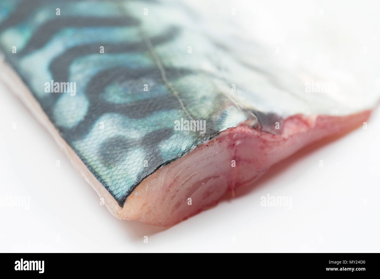 Mackerel flesh hires stock photography and images Alamy
