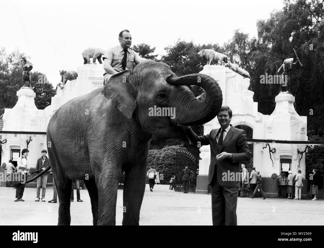 Gehn wir mal zu Hagenbeck, Sondersendung zum 75. Geburtstags des Tierparks in Hamburg-Stellingen, Deutschland 1982, Direktor Dr. Klaus Hagenbeck mit Elefant Stock Photo