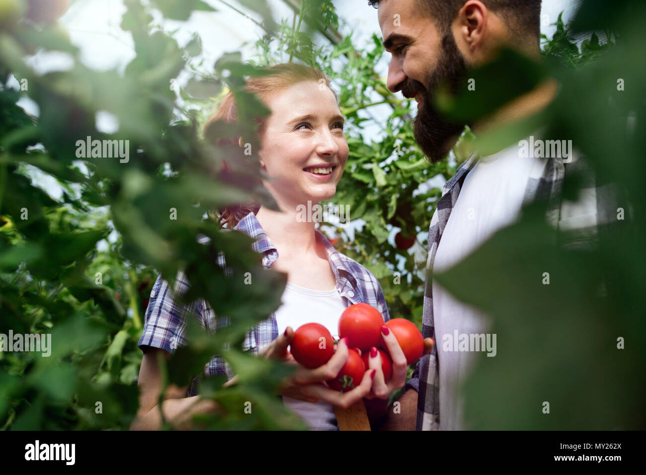 Young couple farming vegetables Stock Photo - Alamy
