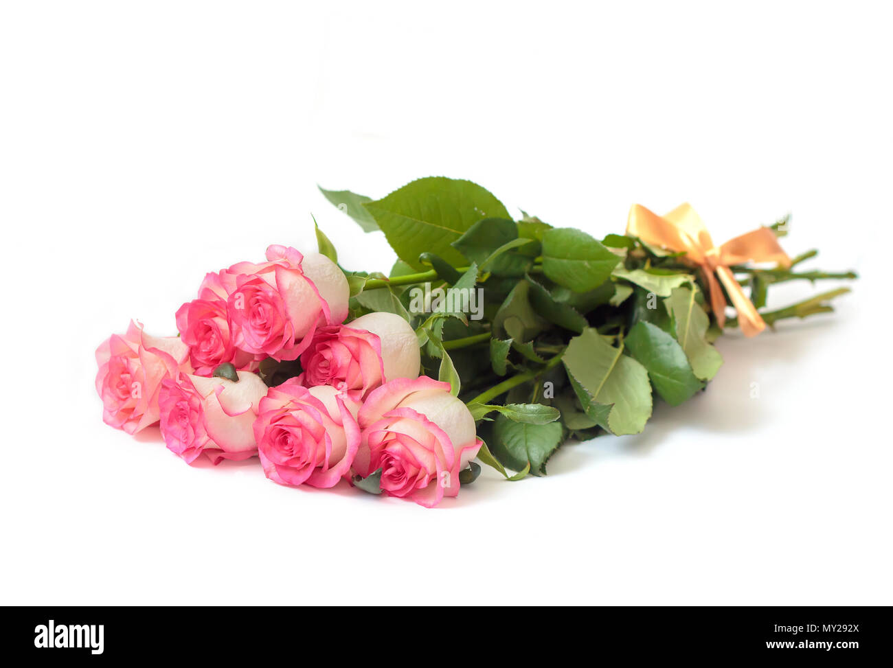 Cream flower border hi-res stock photography and images - Alamy