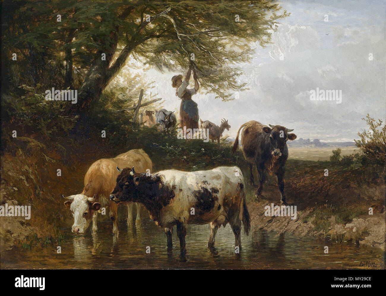 Voltz Friedrich - Cows Crossing a Ford Stock Photo - Alamy