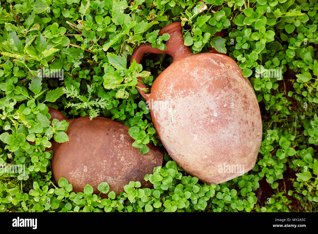 Antique clay jugs in nature surrounded by green plants. Top down view. Stock Photo