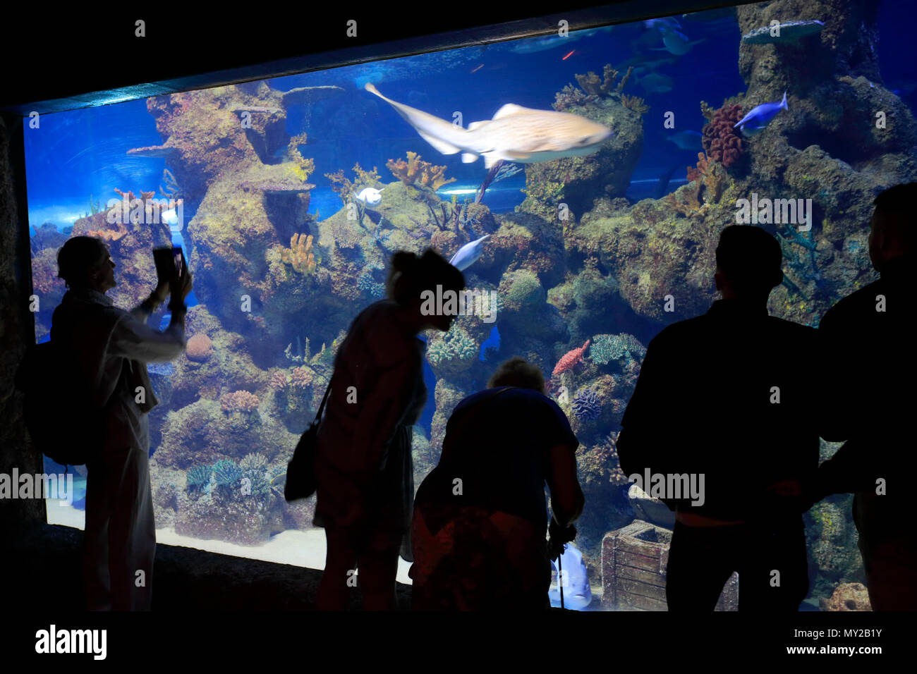 The National Aquarium of Malta, Triq ItTrunciera, St. Paul's Bay, Qawra village, Malta Stock