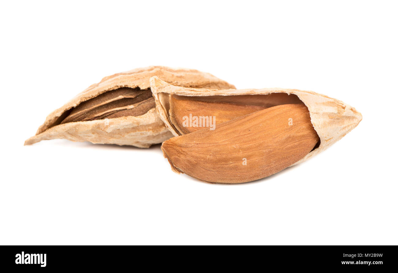 Dry wild uzbek almonds on white background Stock Photo