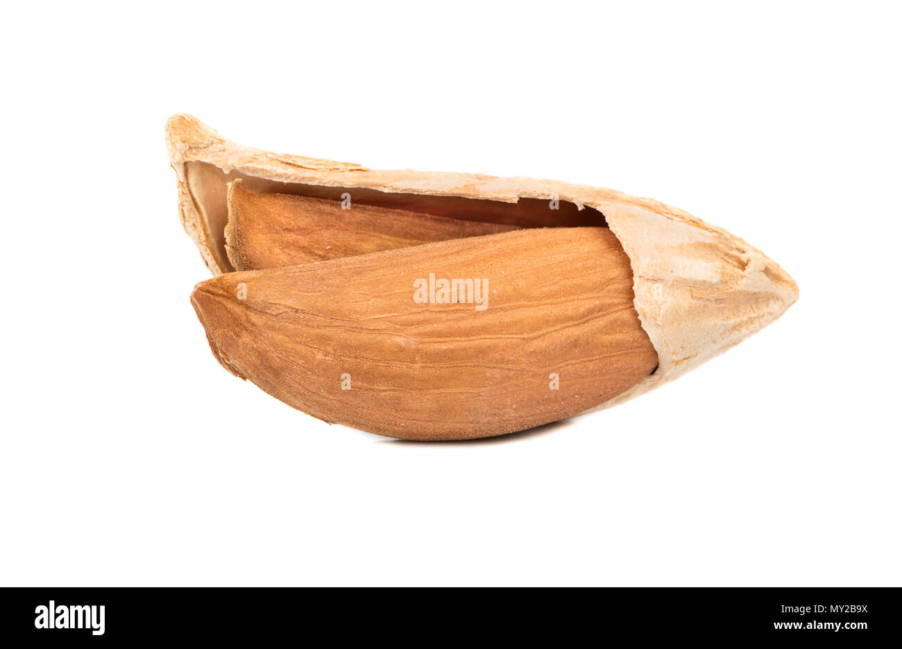 Open wild uzbek almonds isolated on white background Stock Photo