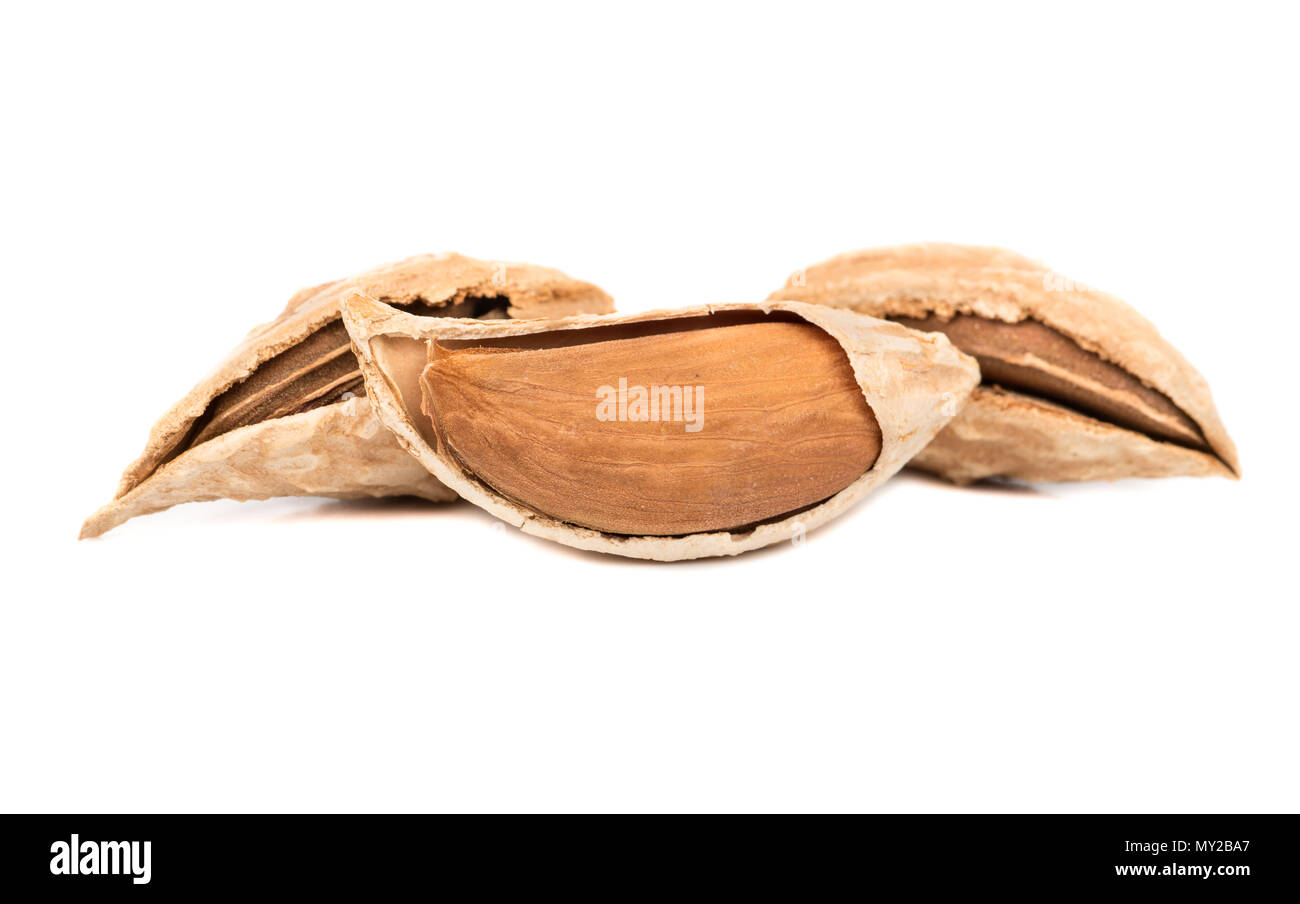 Dry wild uzbek almonds on white background Stock Photo