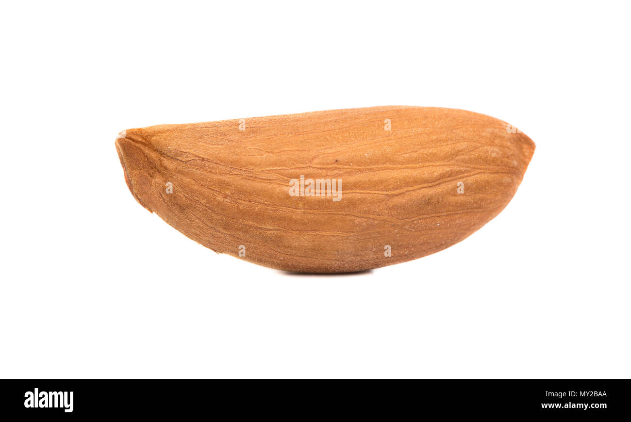 Wild uzbek almonds without shell on white background Stock Photo