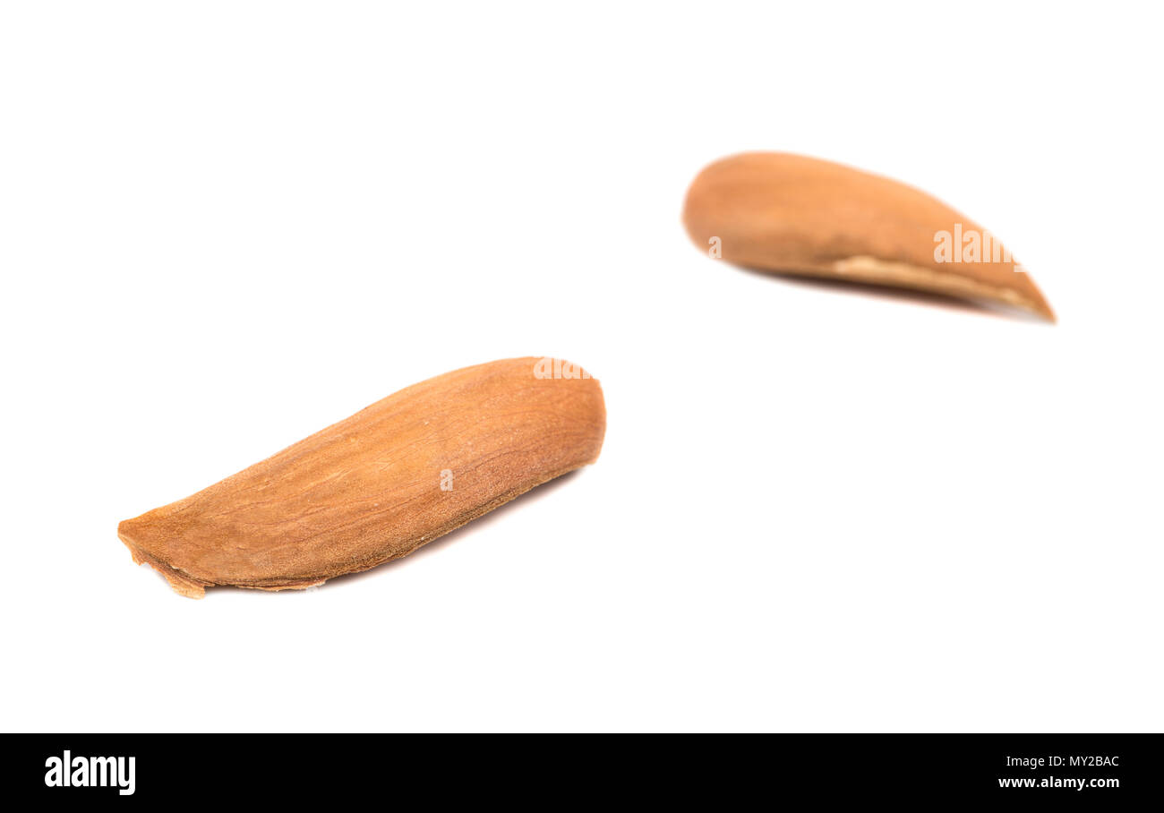 Two wild uzbek almonds without shell on white background Stock Photo ...