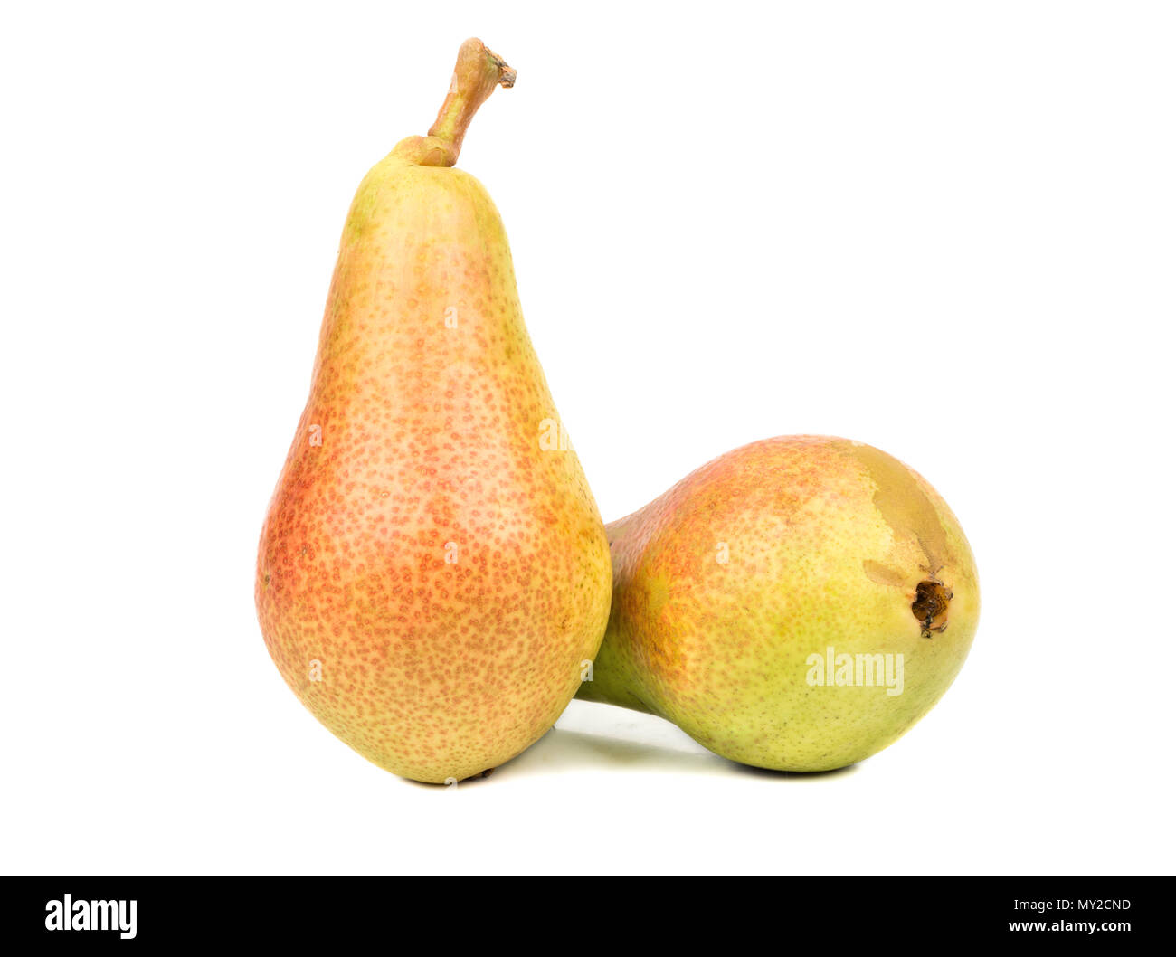 Two fresh fruits are pears on white background Stock Photo - Alamy
