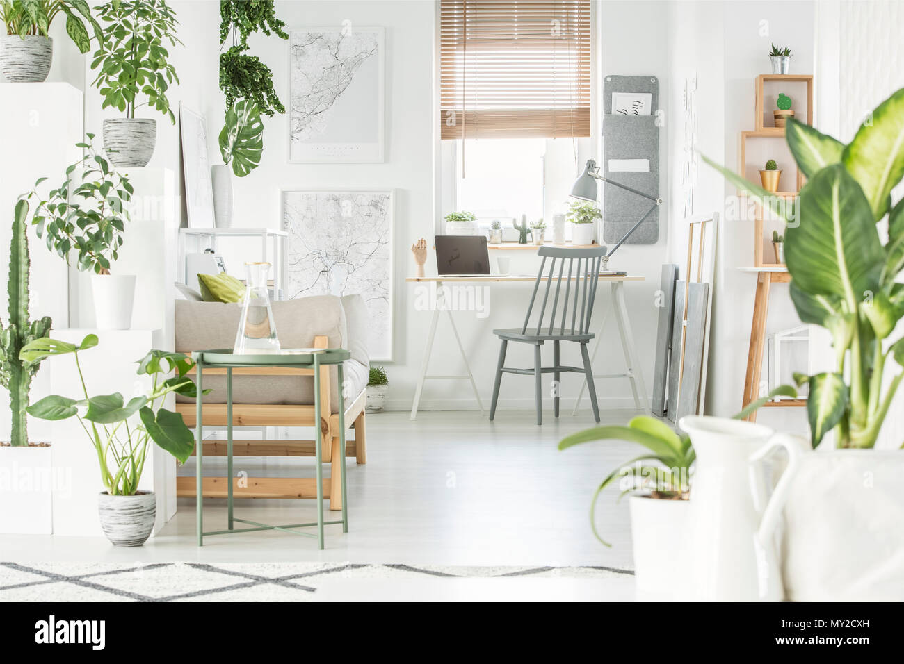 White home office interior with fresh green plants, grey chair standing by  a wooden desk with laptop and window with blinds Stock Photo - Alamy