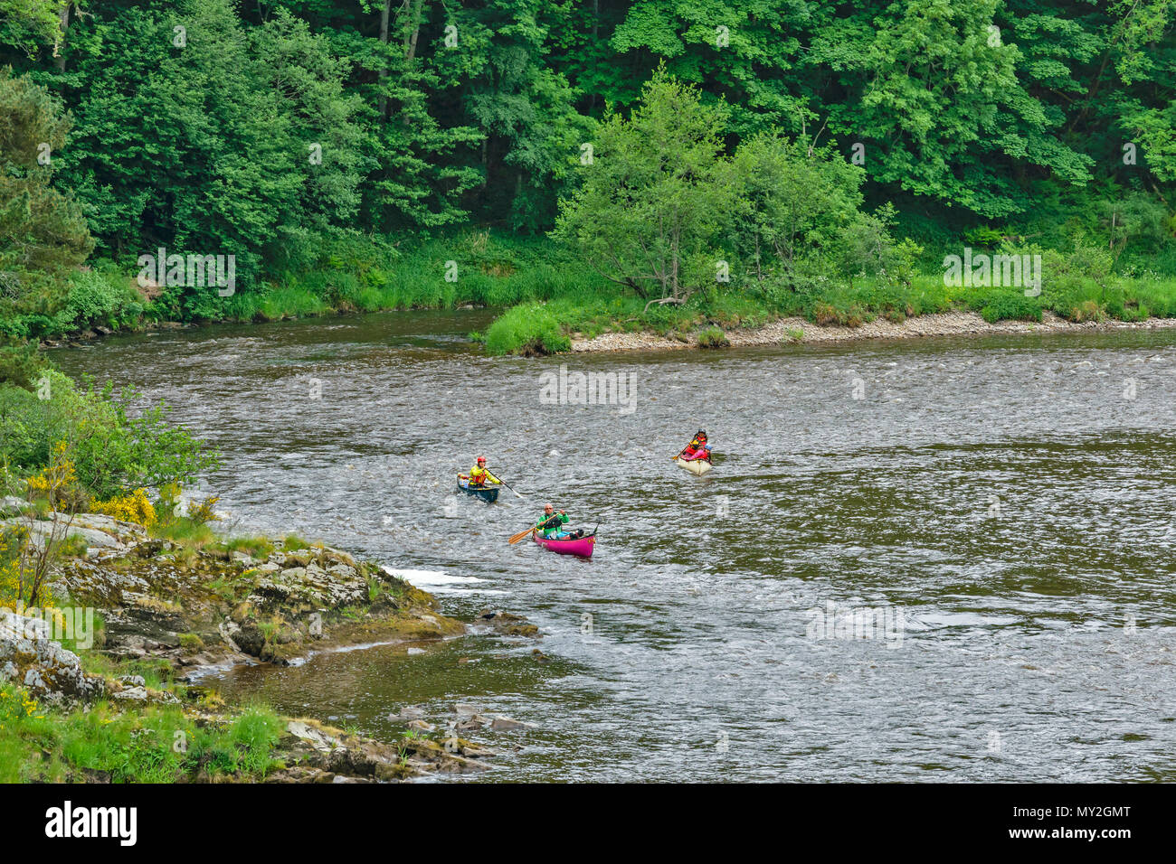 RIVER SPEY CARRON SCOTLAND CANOE CANOEIST RIVER RAPIDS THREE CANOES AND