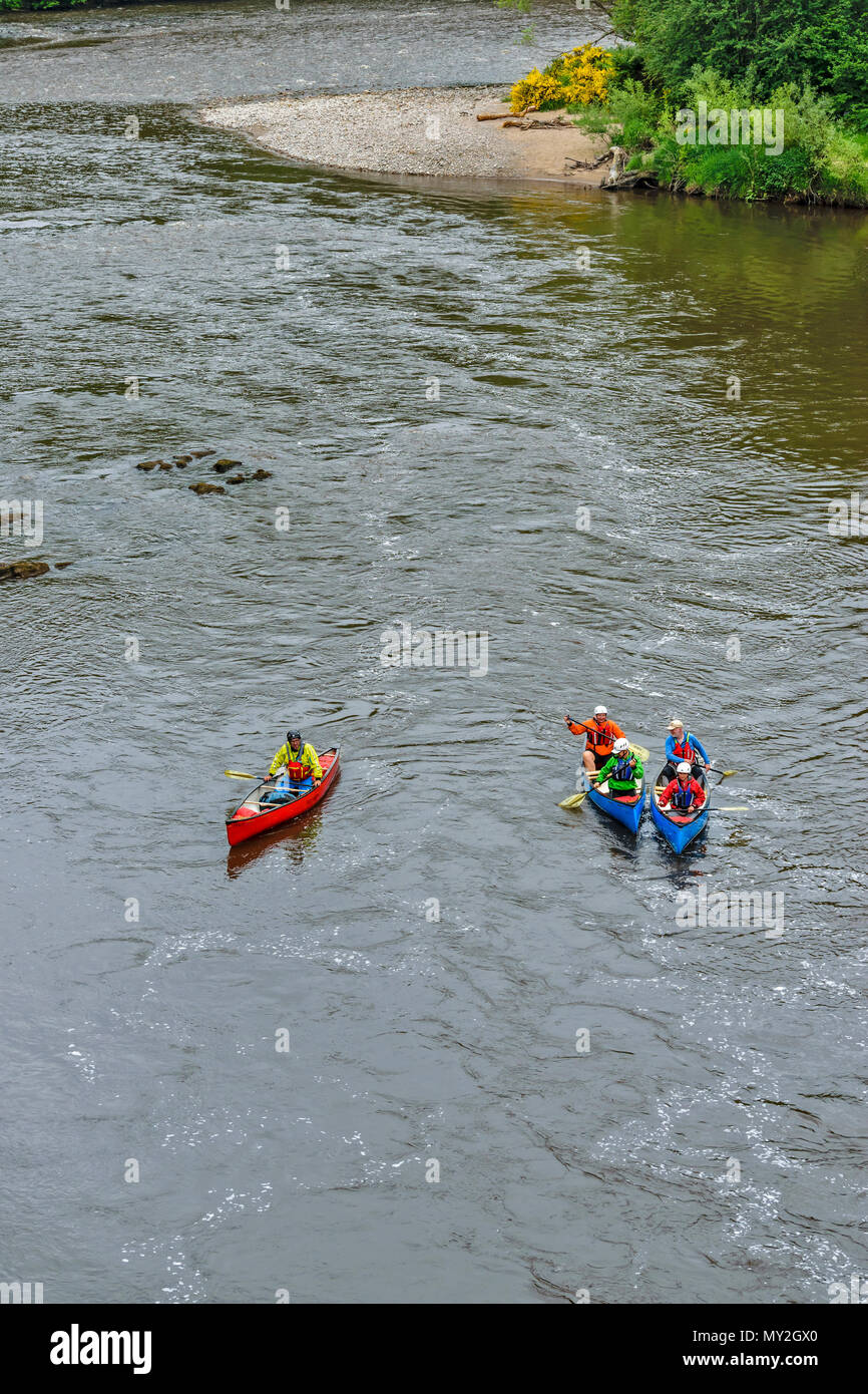 RIVER SPEY TAMDHU SCOTLAND CANOE CANOEIST KAYAK THREE CANOES ONE RED TWO BLUE WITH PEOPLE HEADING DOWN THE RIVER Stock Photo