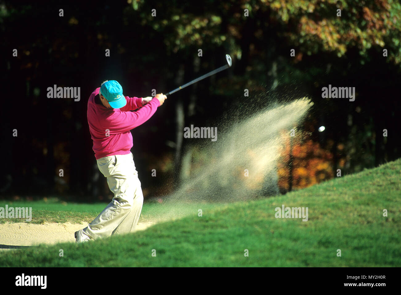 A golfer blasts out of a sand trap in Foxboro, Massachusetts, USA Stock Photo