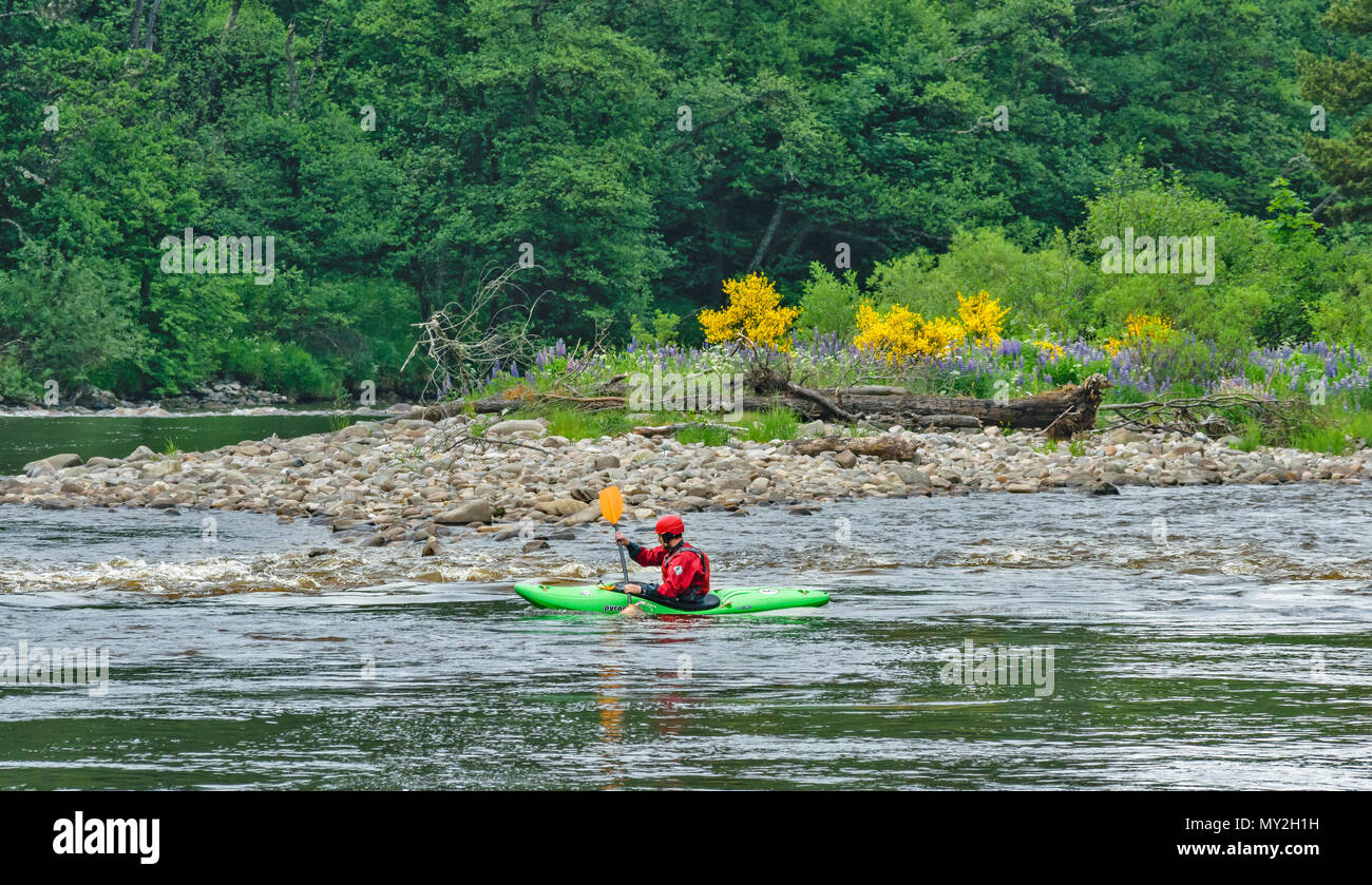 RIVER SPEY TAMDHU SCOTLAND CANOE KAYAK CANOEIST RIVER RAPIDS ONE RED