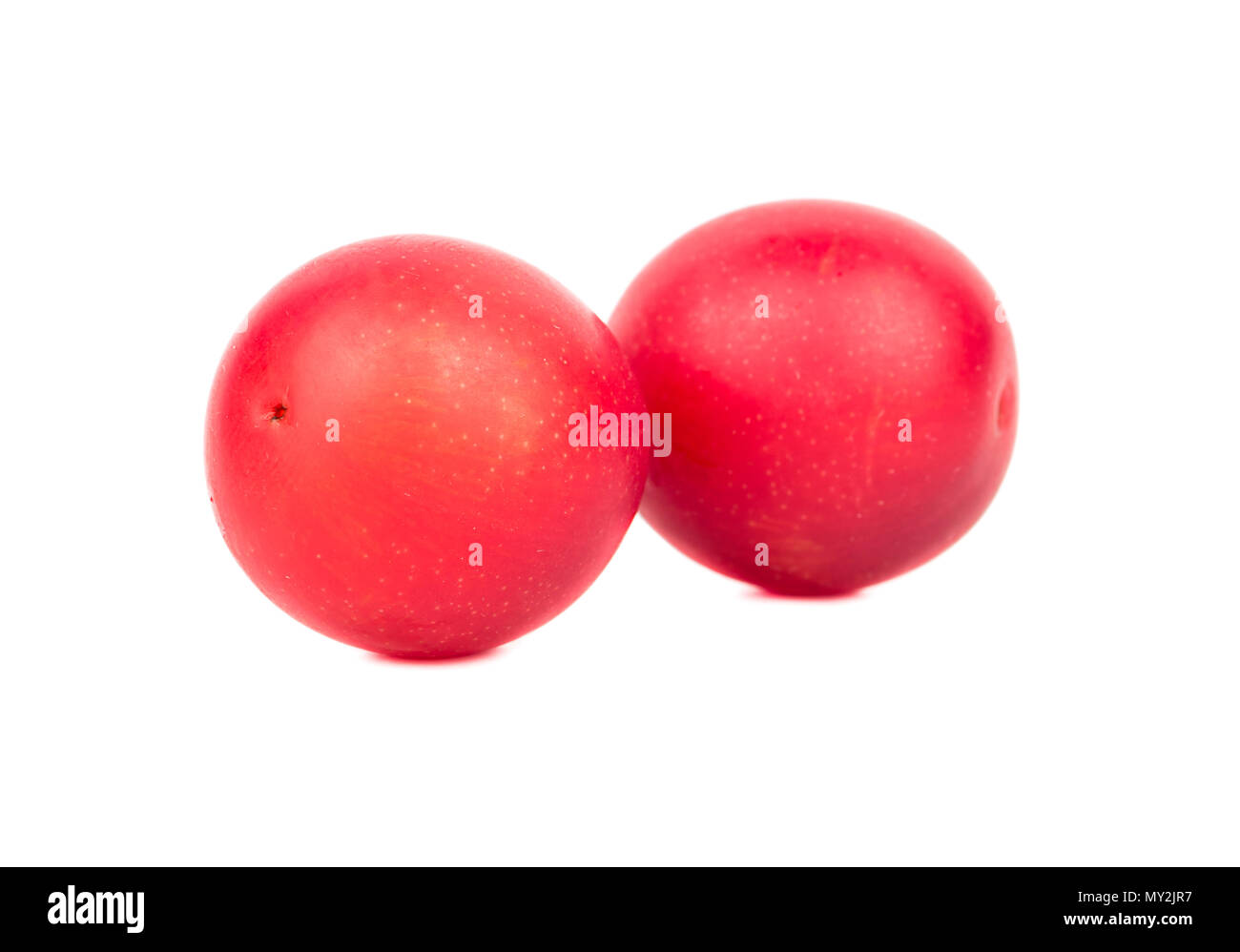 Two red cherry plums on a white background Stock Photo