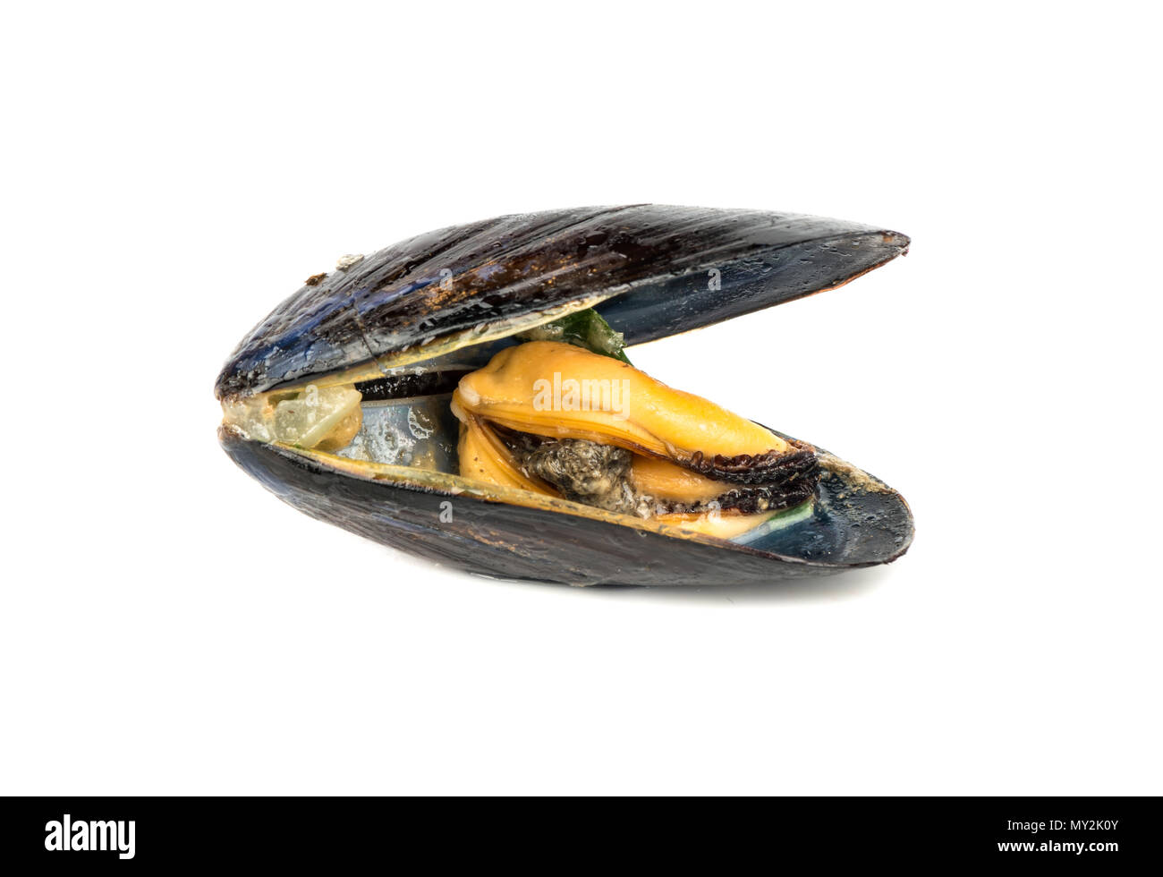 Open cooked mussel isolated on a white background Stock Photo Alamy