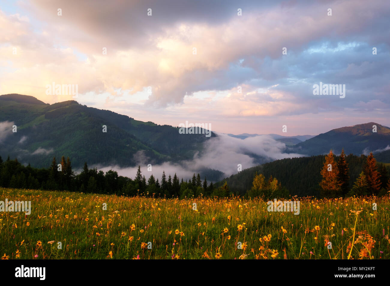 Mountain valley during sunrise Stock Photo