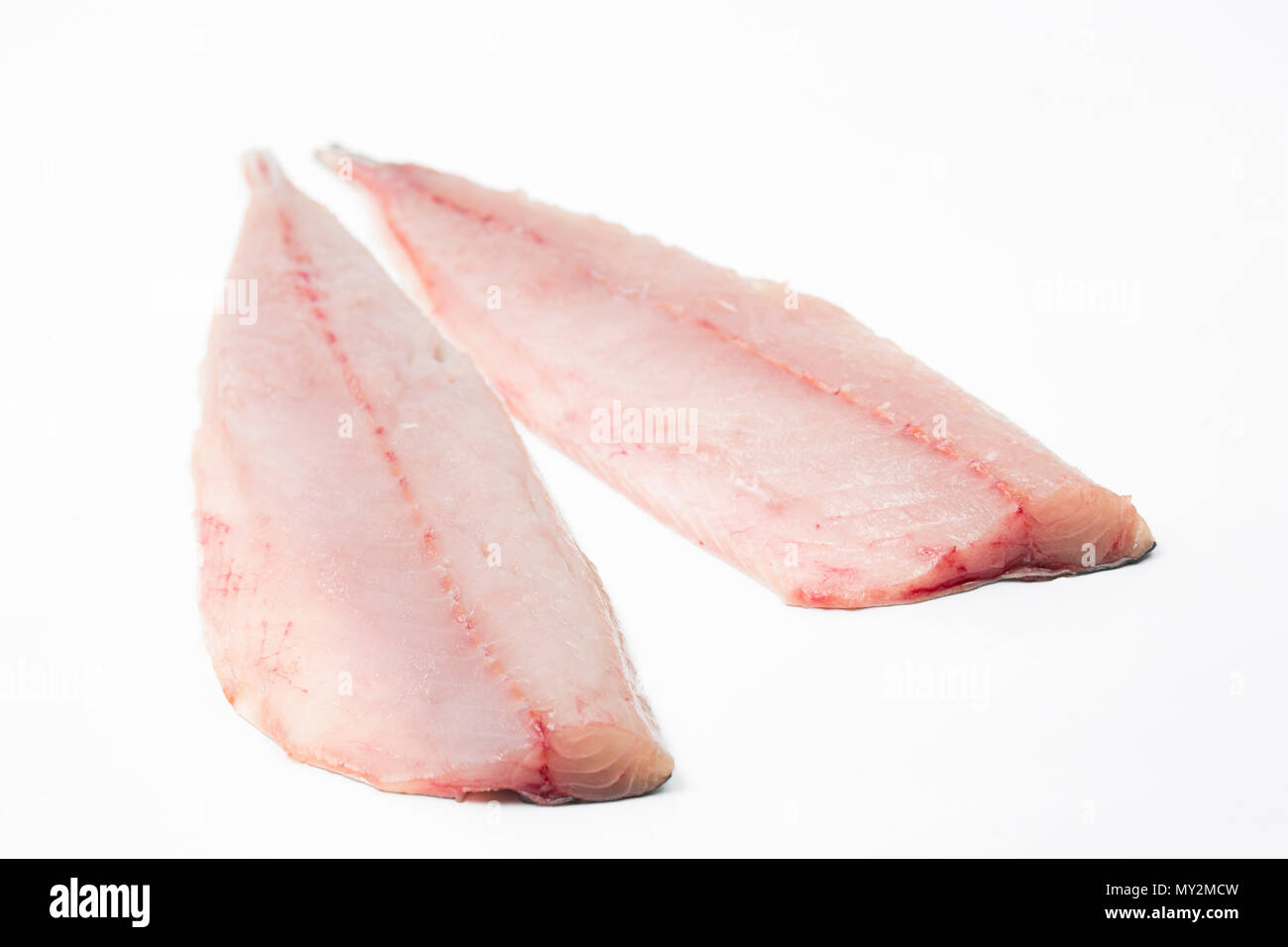 Two fresh, raw mackerel fillets, S. scombrus, on a white background from a mackerel caught from Chesil beach on rod and line. Dorset England UK GB Stock Photo