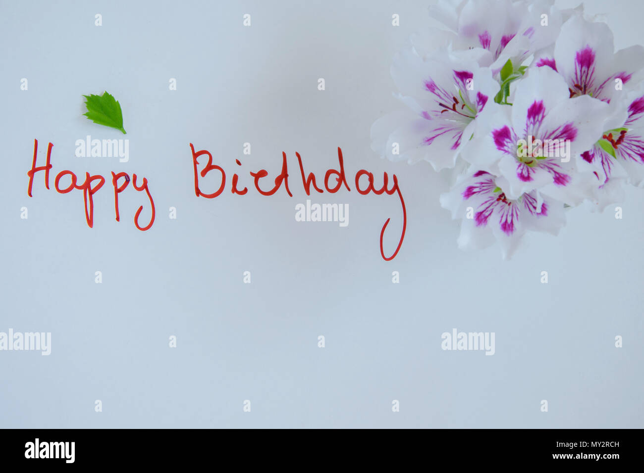 Happy Birthday Greeting Card With Fresh Flowers On White Background Space For Text Stock Photo Alamy