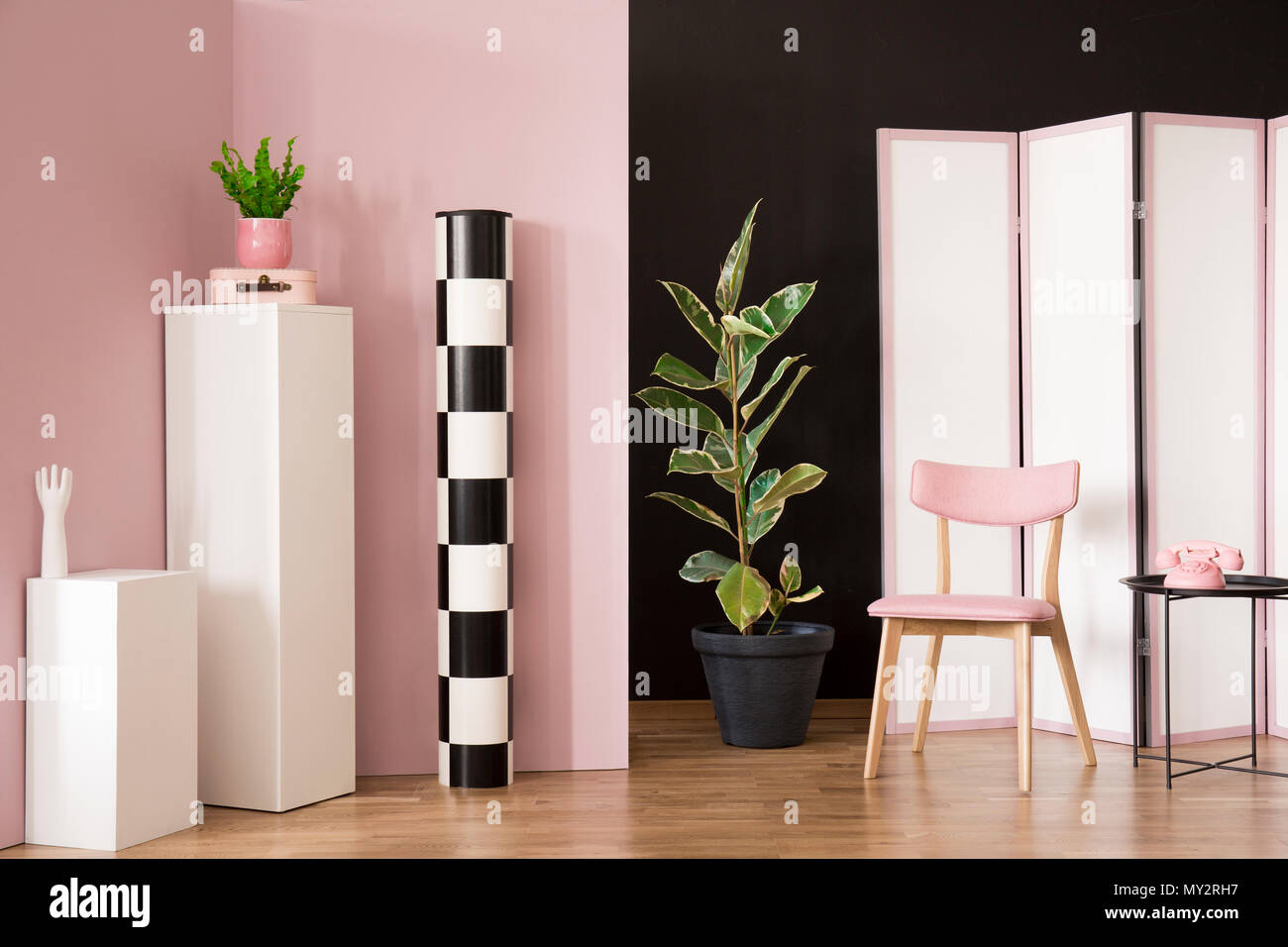 Ficus next to a pink wooden chair in dressing room interior with screen and phone on white pedestal Stock Photo