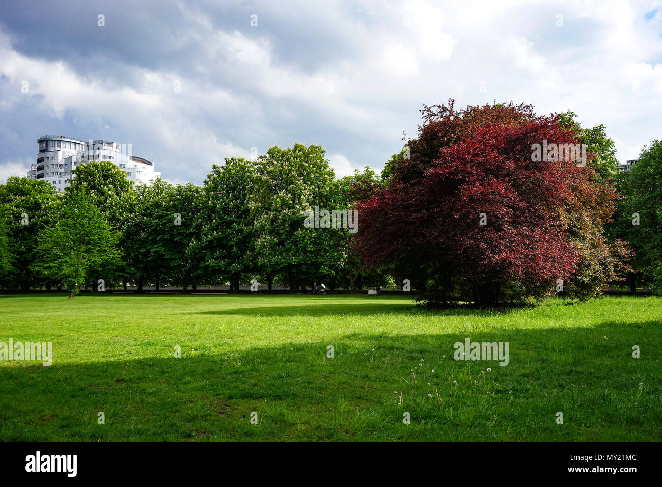 Public park grass trees hi-res stock photography and images - Alamy