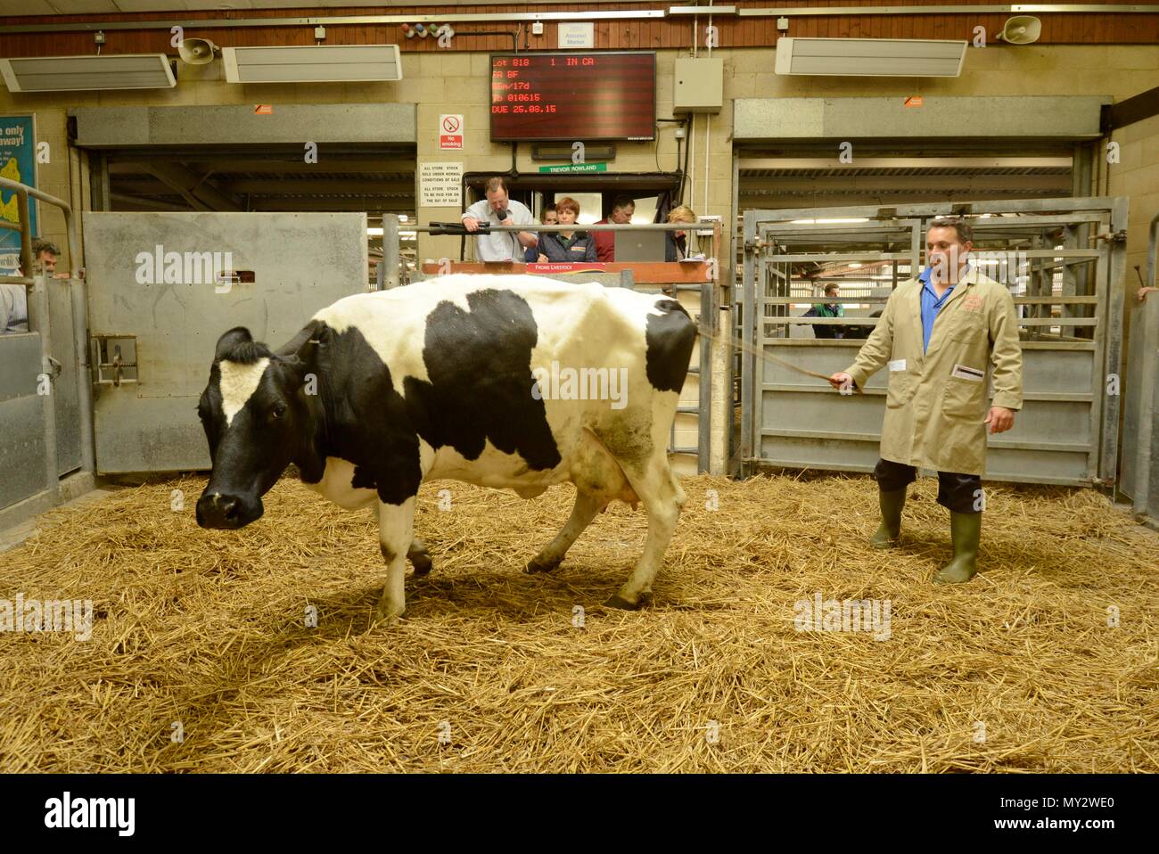 Farming auctions hires stock photography and images Alamy