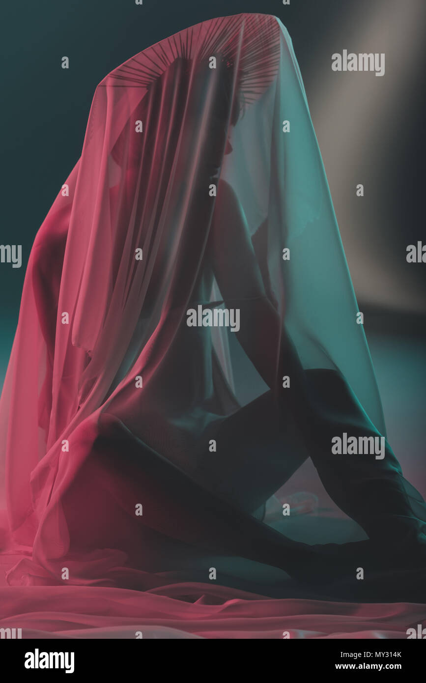 elegant sensual woman posing behind the veil Stock Photo - Alamy