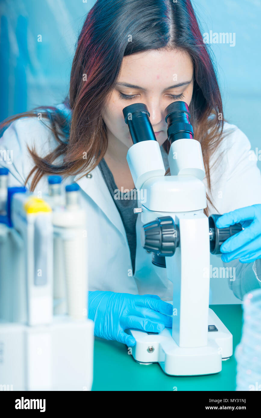 petri dish in the laboratory microscope Stock Photo Alamy