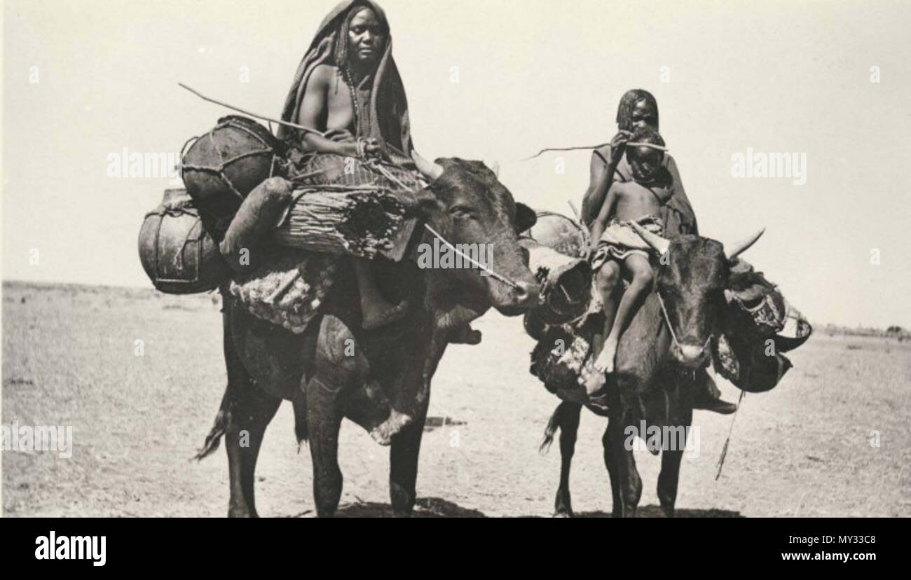 . English: Women travelling in Kordofan — early 20th century southern Sudan.  Women of the Messiria tribe branch of the Baggara Arabs traveling by oxen.   . Unknown (G.N. Morphig?) 59 Baggara in kordofan Stock Photo