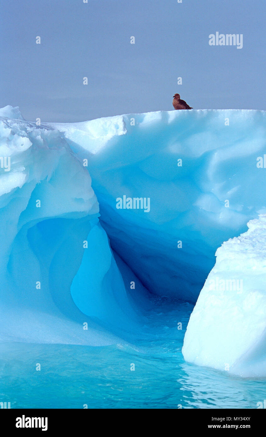 Treibender Eisberg, Pleneau Island, Antarktis | Drifting Iceberg, Pleneau Island, Antarctic Stock Photo