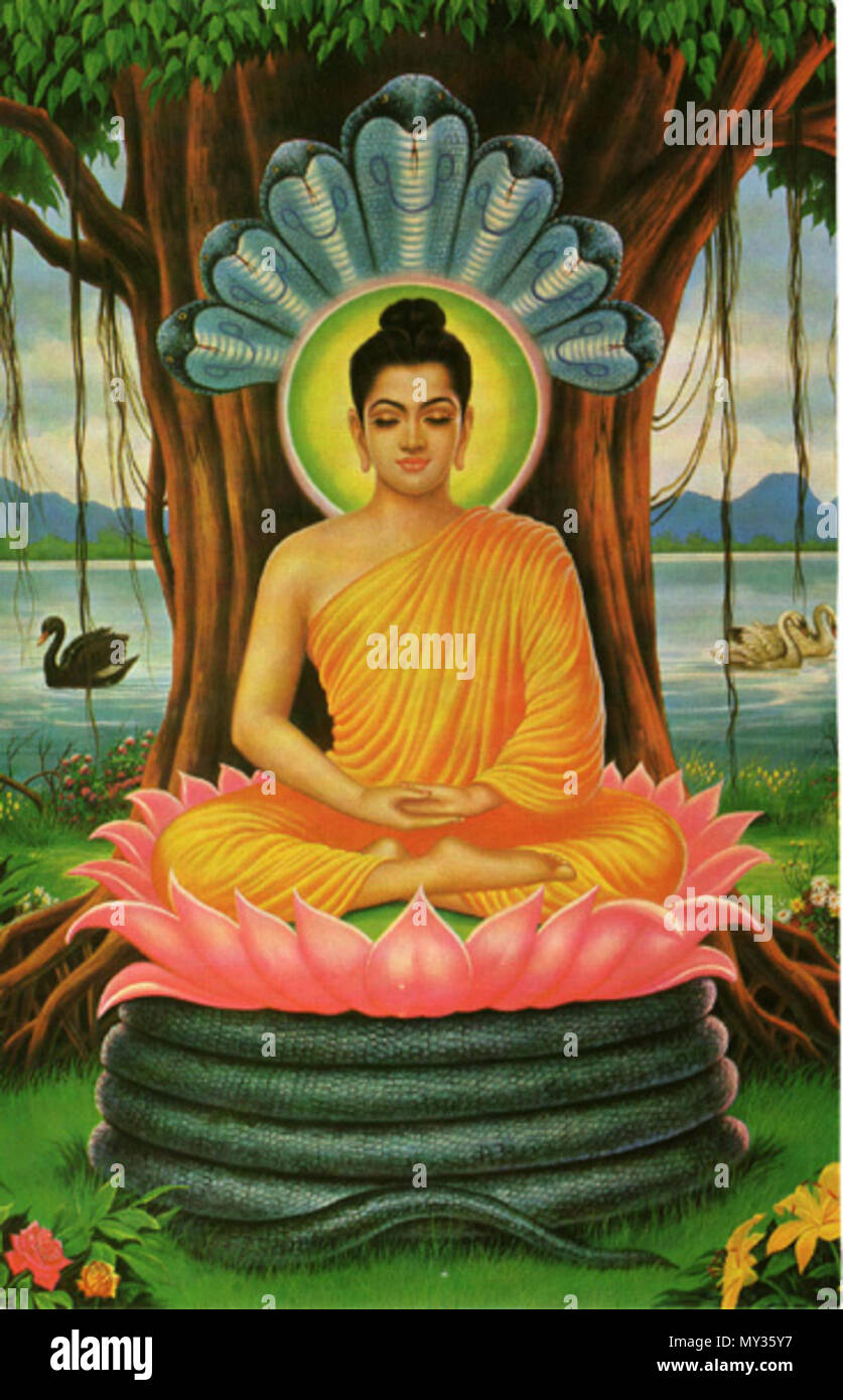 Buddha meditating hi res stock photography and images Alamy